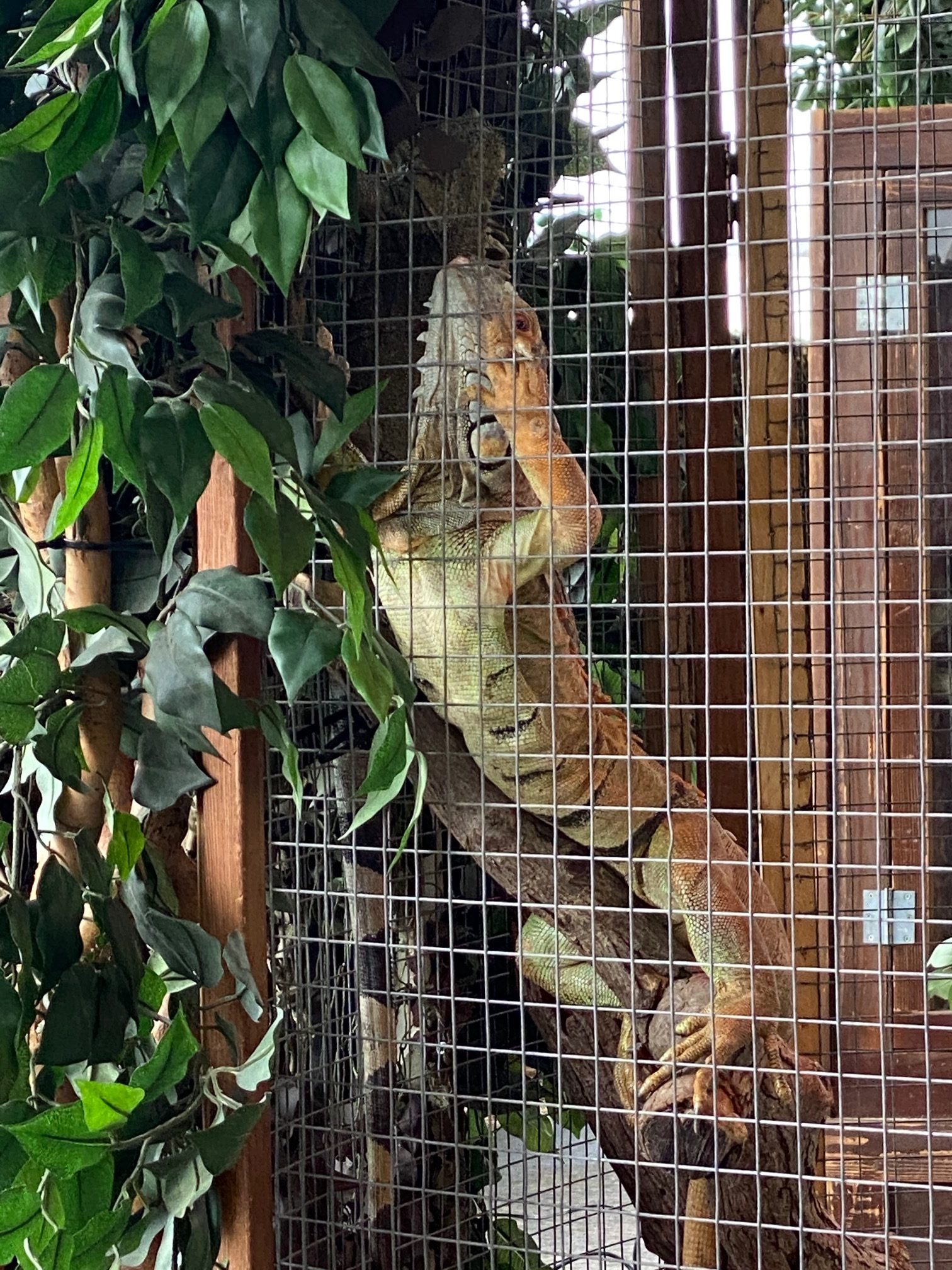 Washington State Spring Fair