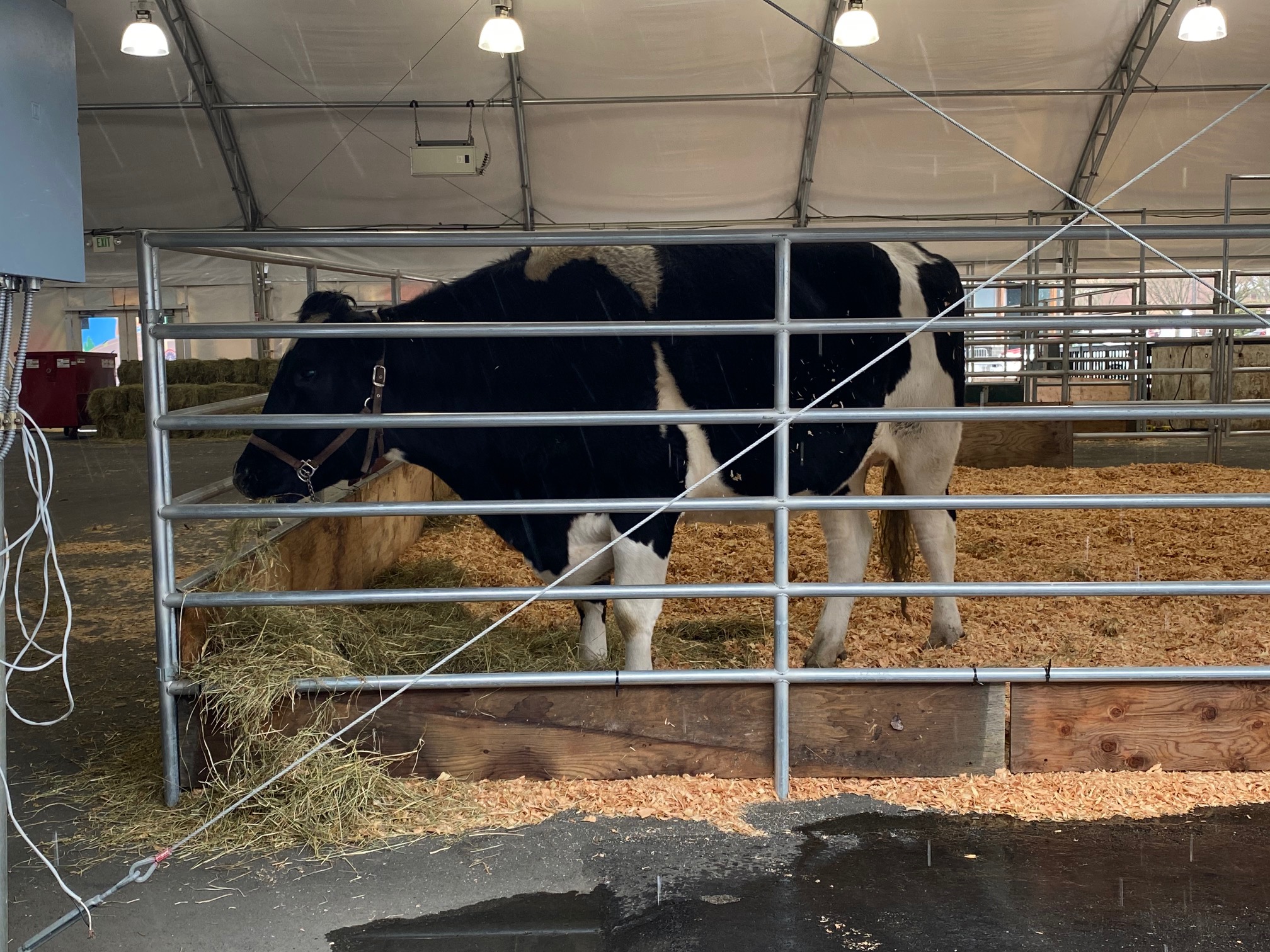 Washington State Spring Fair