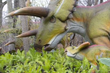 Dinosaurs Woodland Park Zoo