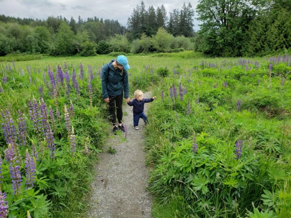 Evans Creek Preserve 