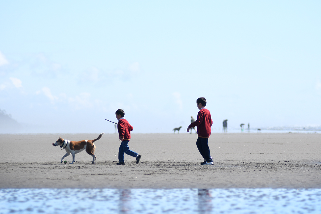 Seabrook / JiaYing Grygiel photo