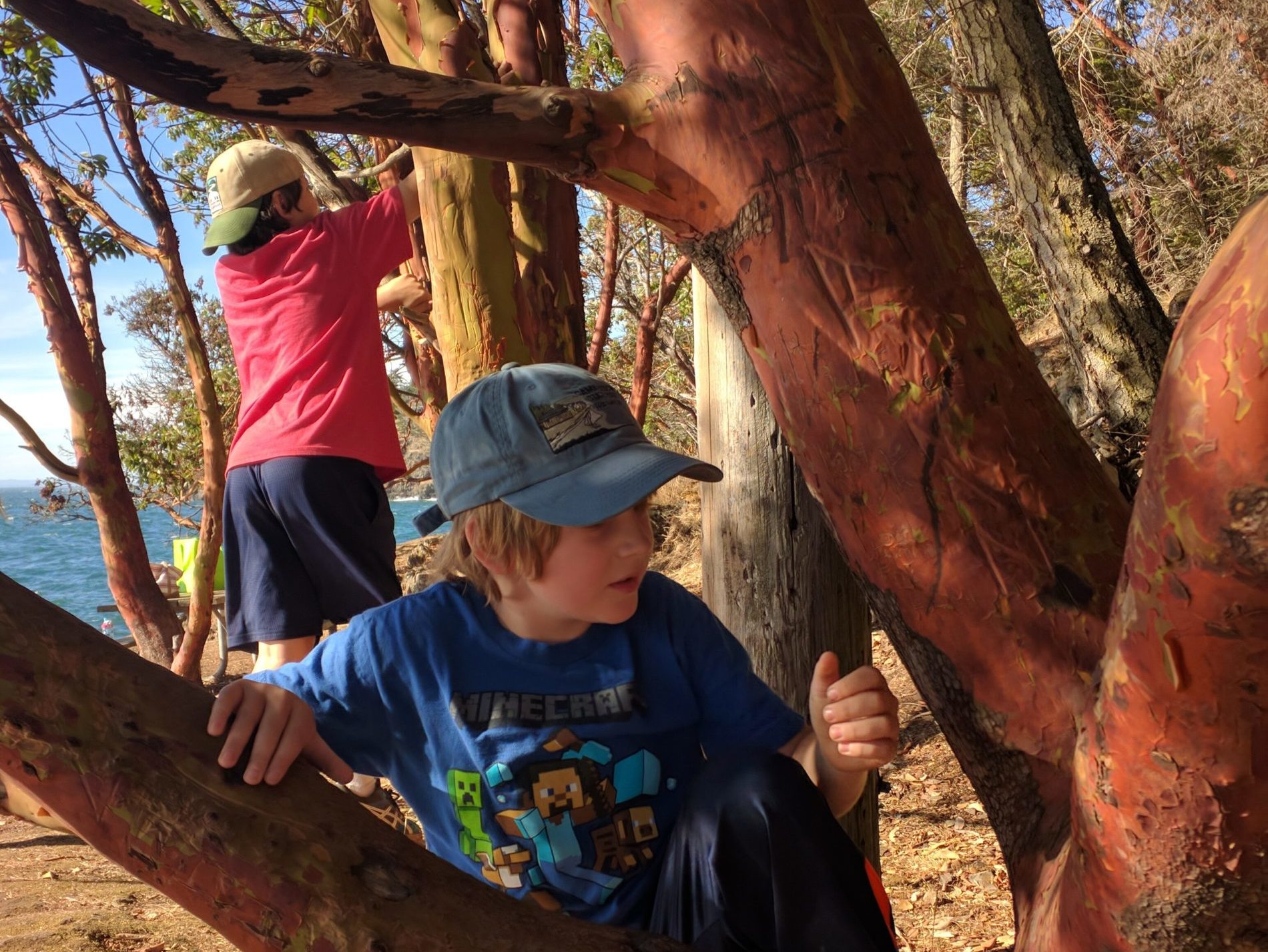 nature / Jeff Lee column