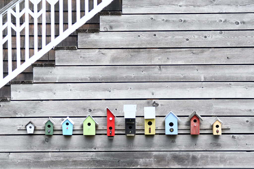 JiaYing Grygiel photo June 2021