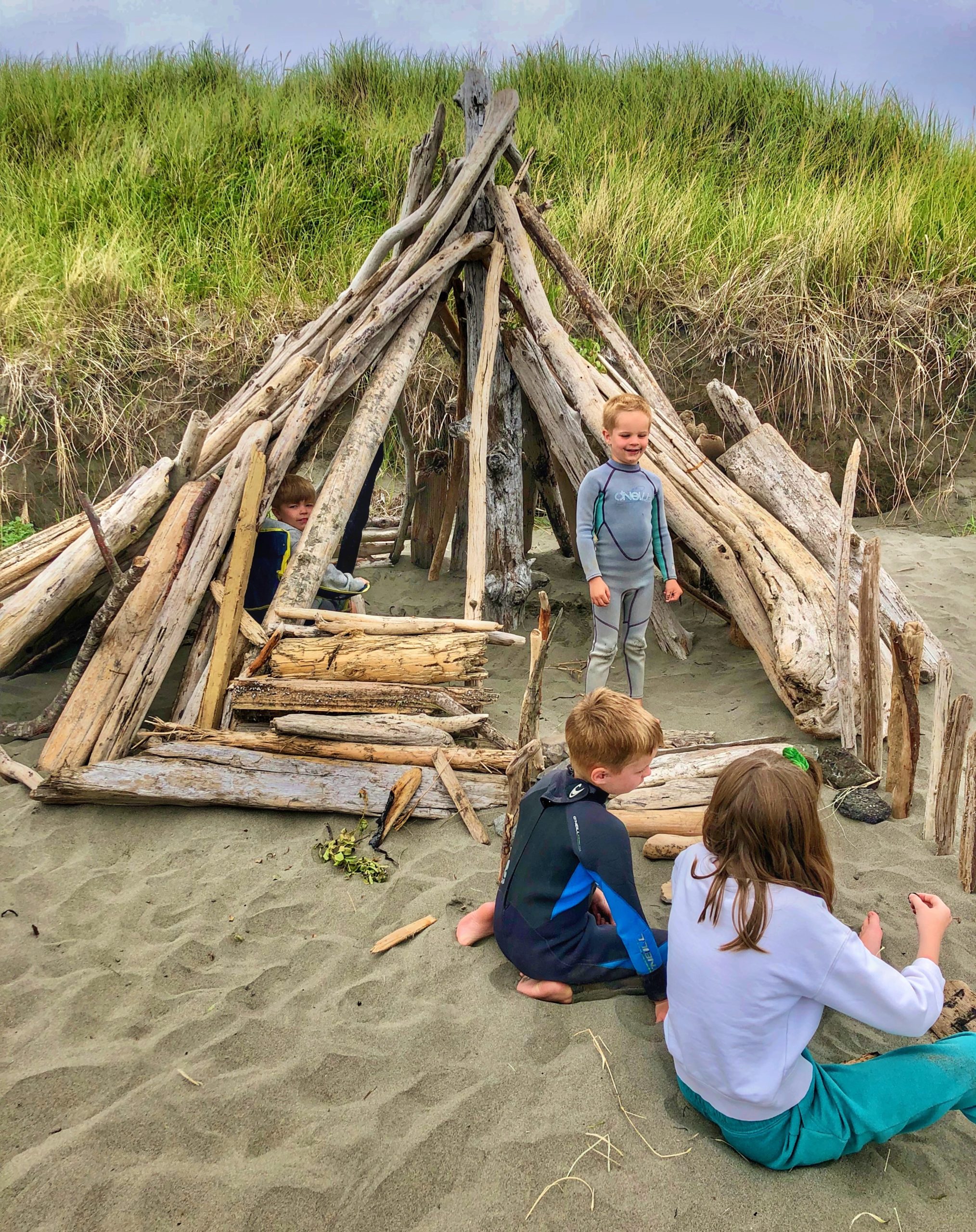 Westhaven beach driftwood 