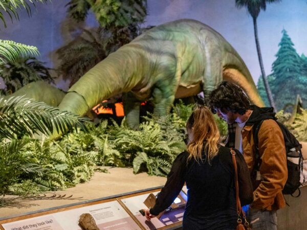 Visitors observing a dinosaur exhibit at Pacific Science Center in Seattle