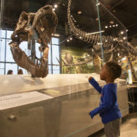 free museums for teachers