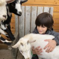 Sammamish Animal Sanctuary