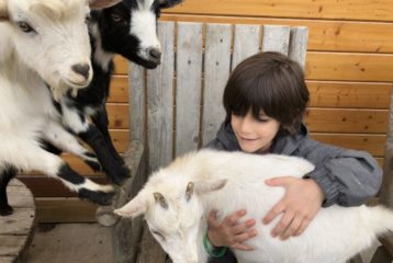 Sammamish Animal Sanctuary