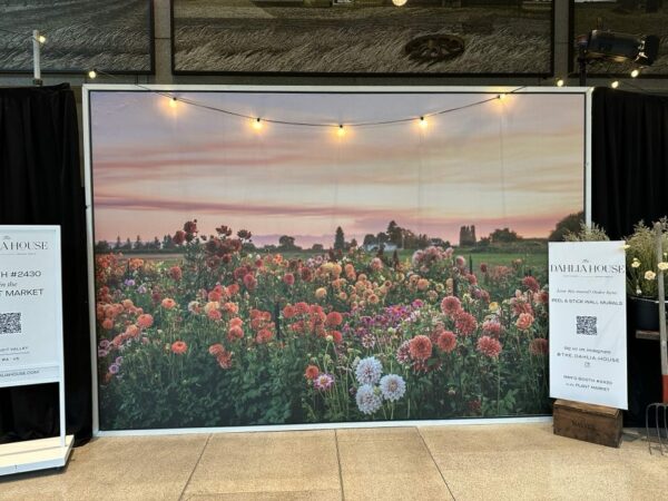 A field of dahlia flowers serve as a backdrop on a screen for photos.