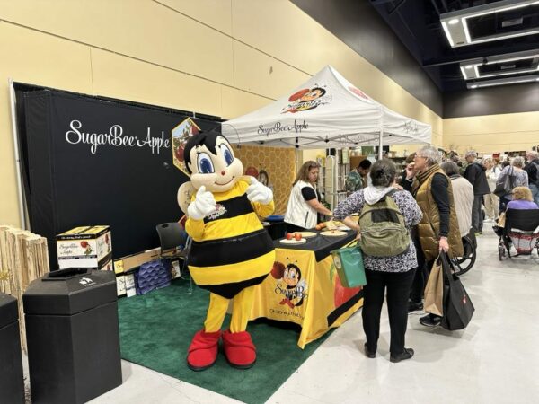 A person in a bee costume stands and poses at the Apple Bee Booth