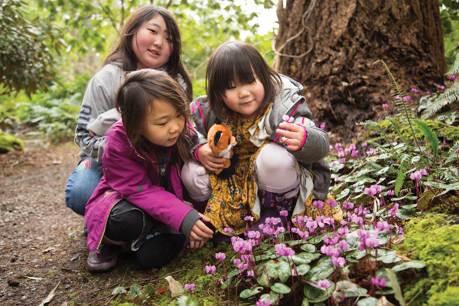 Great gardens without crowds
