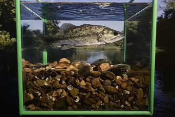 Life in One Cubic Foot