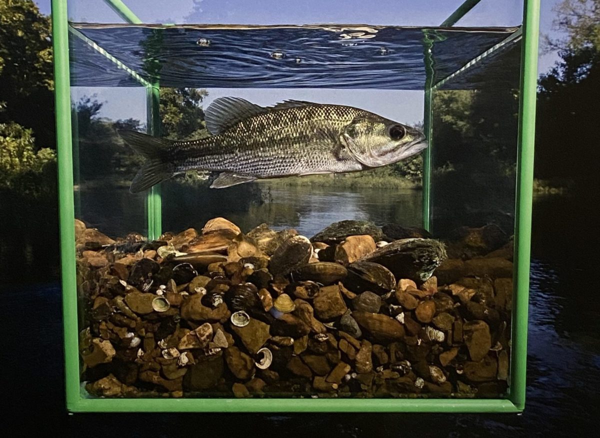 Life in One Cubic Foot