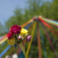 Maypole Flowers