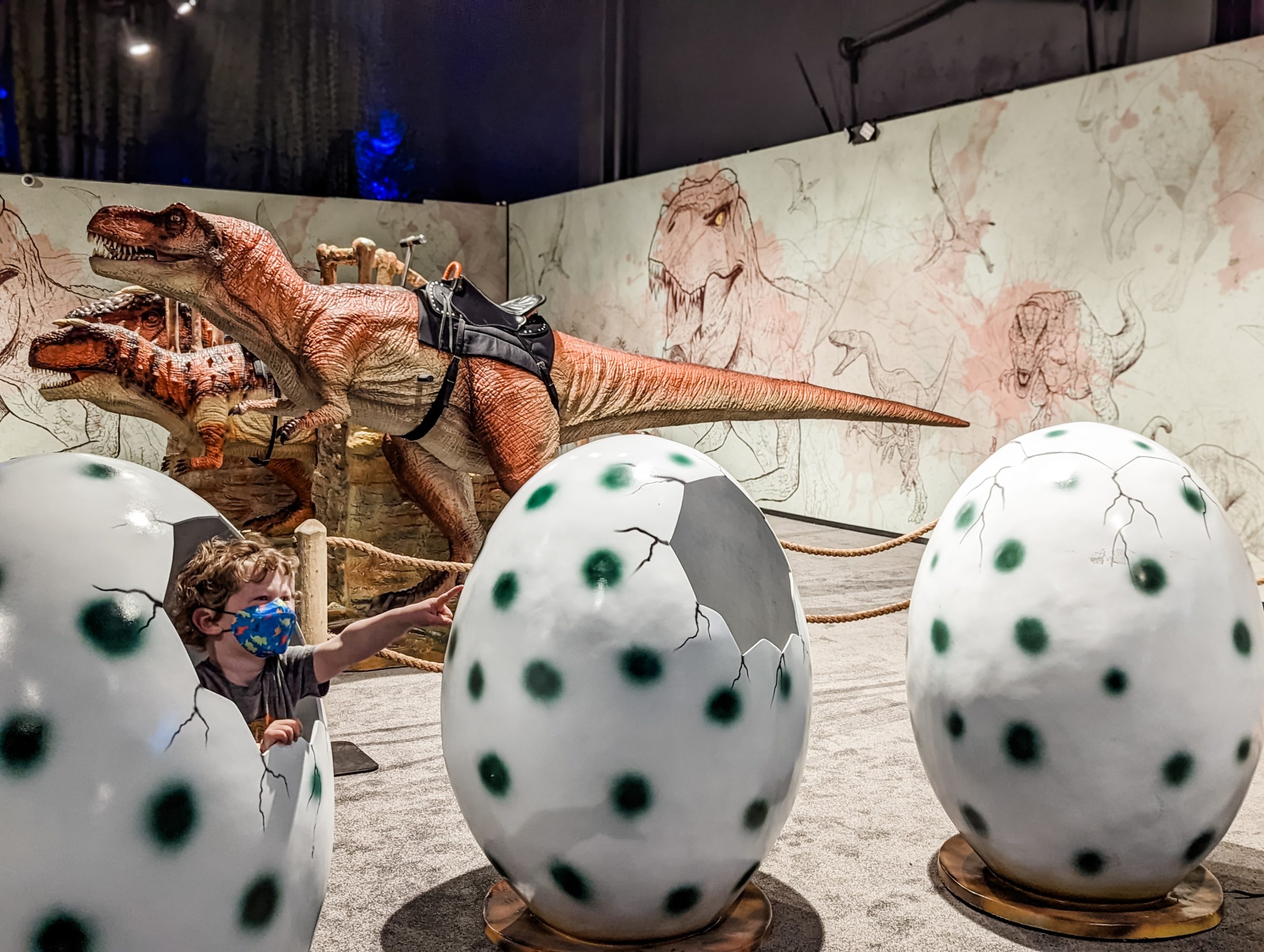 A child comes our a dino egg, one of the interactive exhibits.