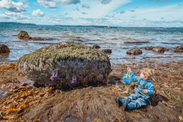 tide pools around Seattle