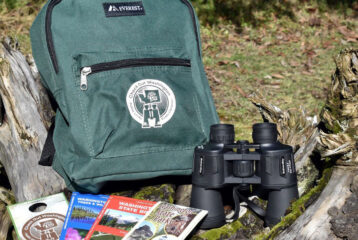 park pass library card