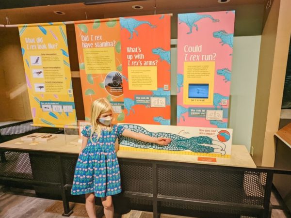 Classic exhibits like the dinorsaur exhibit should not be missed