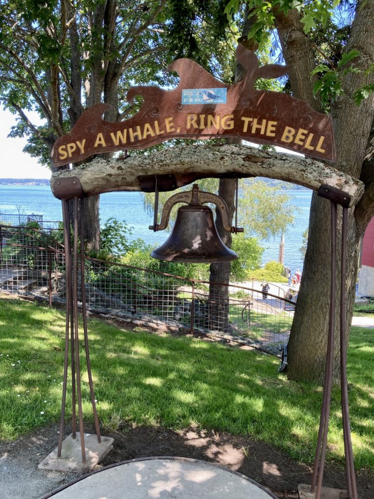 Ring the bell if you see a whale