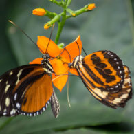 science center is open