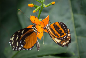 science center is open