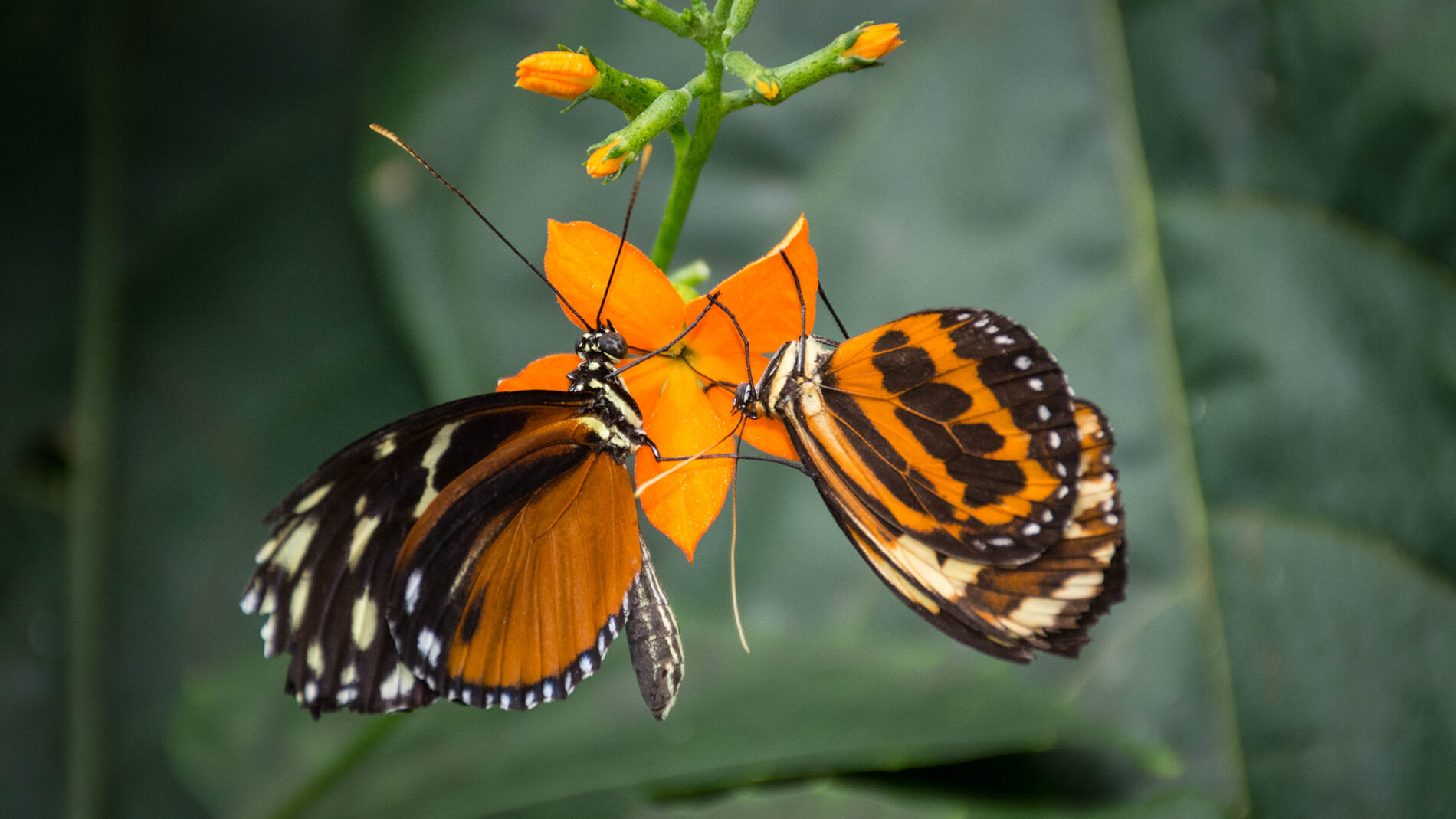 science center is open