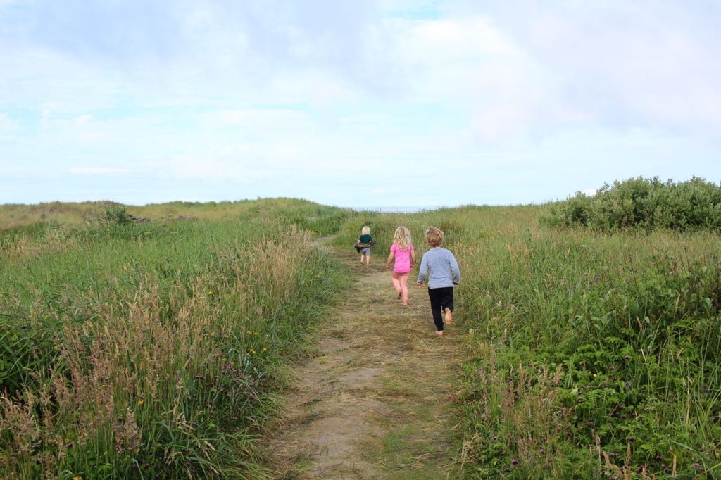 Take the beach trail through the grassy fields and meadows of wildflowers