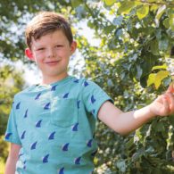 Join the apple harvest