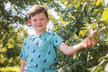 Join the apple harvest