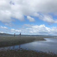 Explore the family friendly beaches in Des Moines