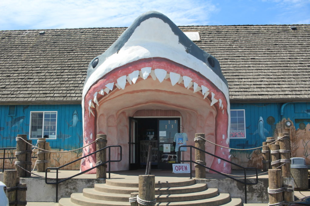 Visit Sharkey's a local downtown beach attraction