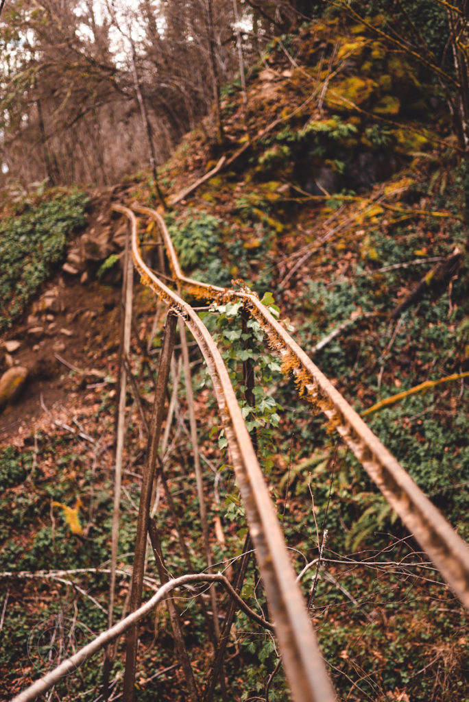 Rusty old rails cling onto the grounds along the trail