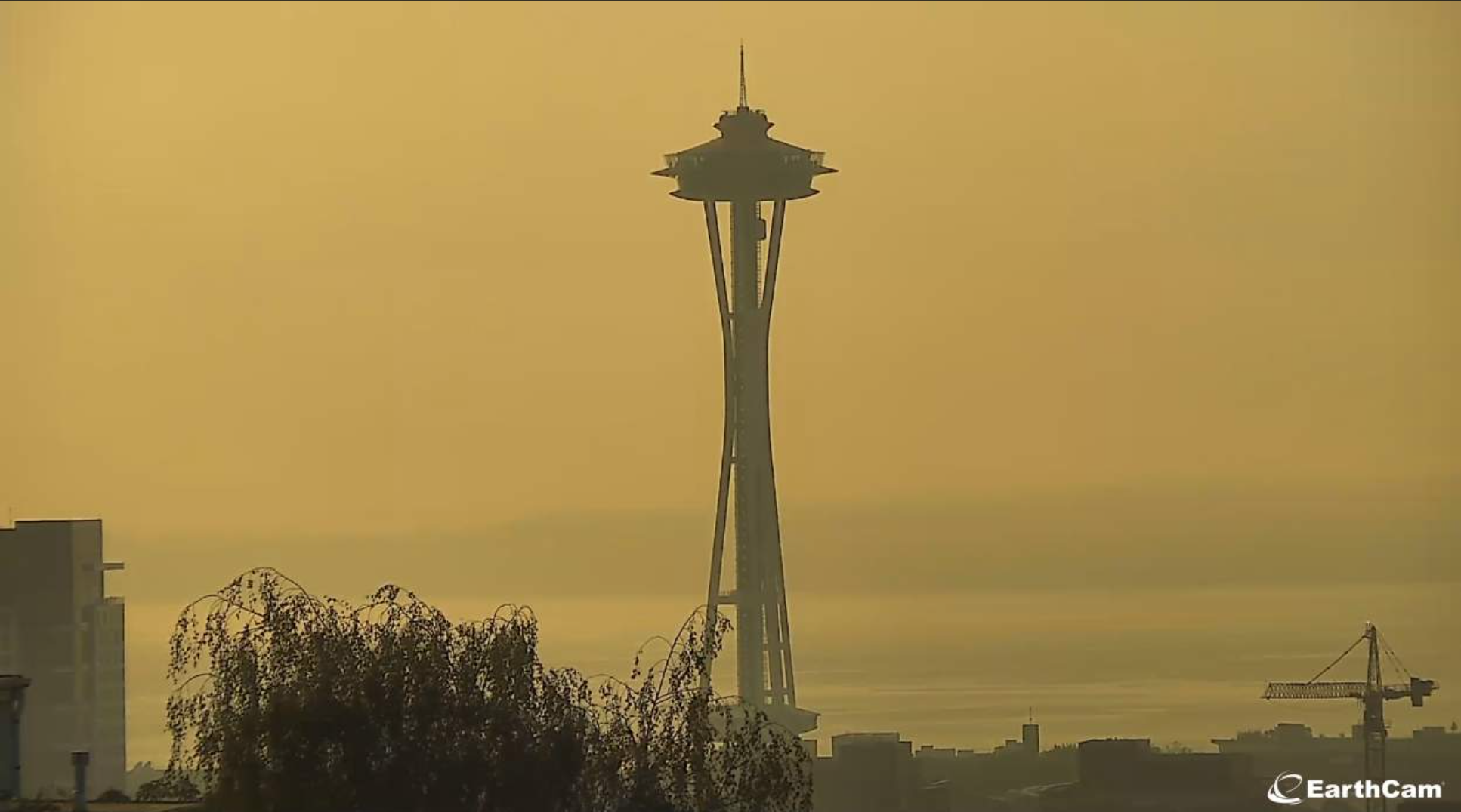 Haze Alert: Protect kids from unhealthy air quality