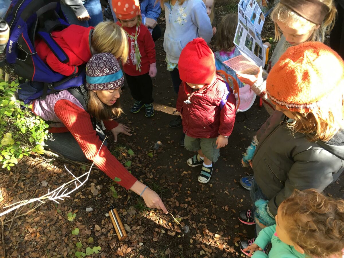 Outdoor play group: Free Forest School offers kids nature-based learning