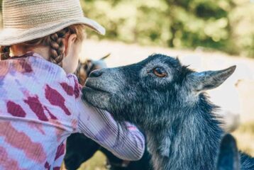 Farm fun little kids