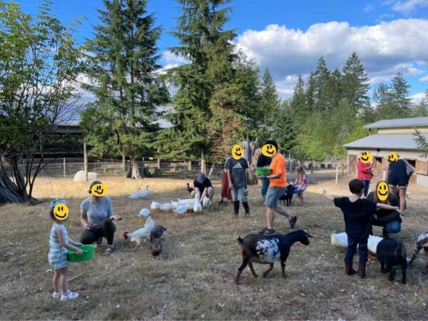 farm fun little kids