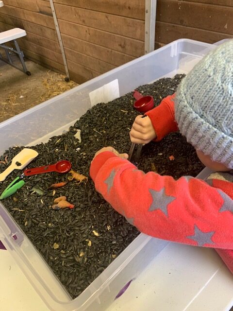 Dig trough a sensory bin to discover toys underneath.