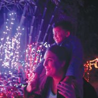 Holidays 2022: Lights