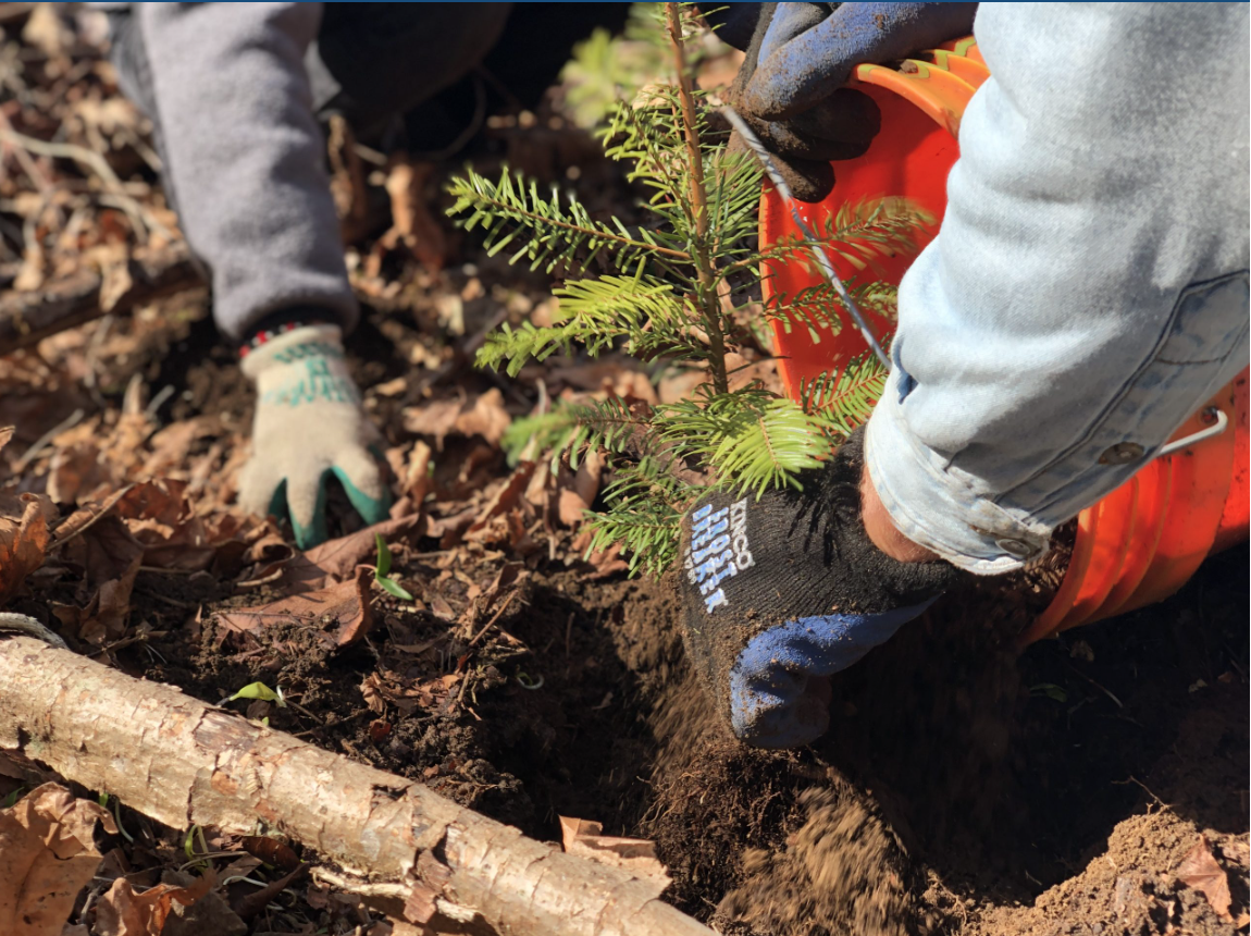 EarthCorps family kids volunteers