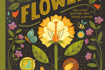 What's inside a flower seattle