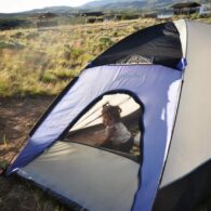 Road trip baby seattle