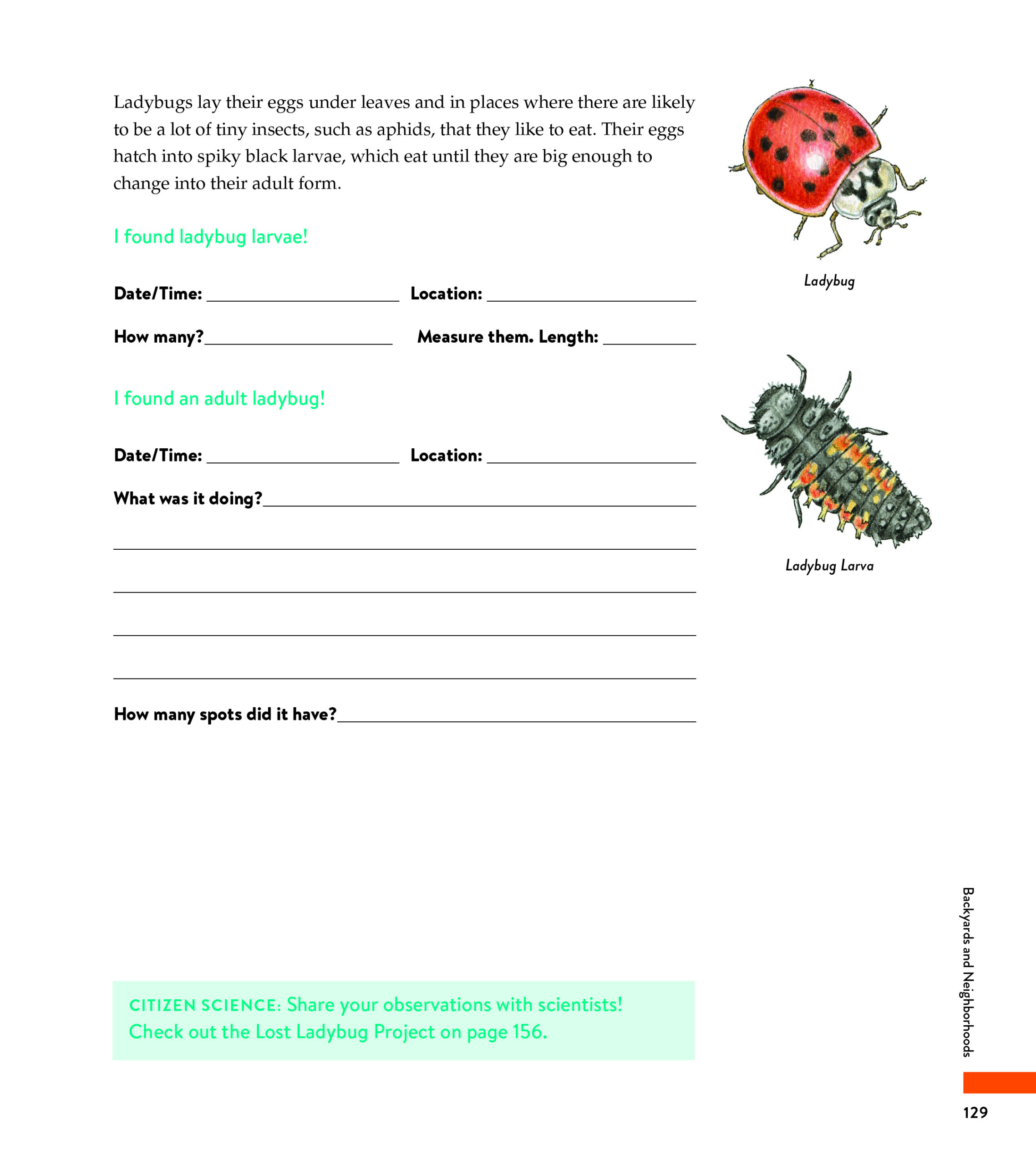 Curious Kids Nature Journal cohen