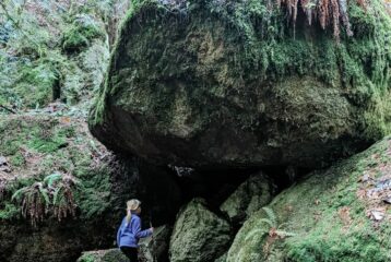 Greeter Rock Cougar Mountain