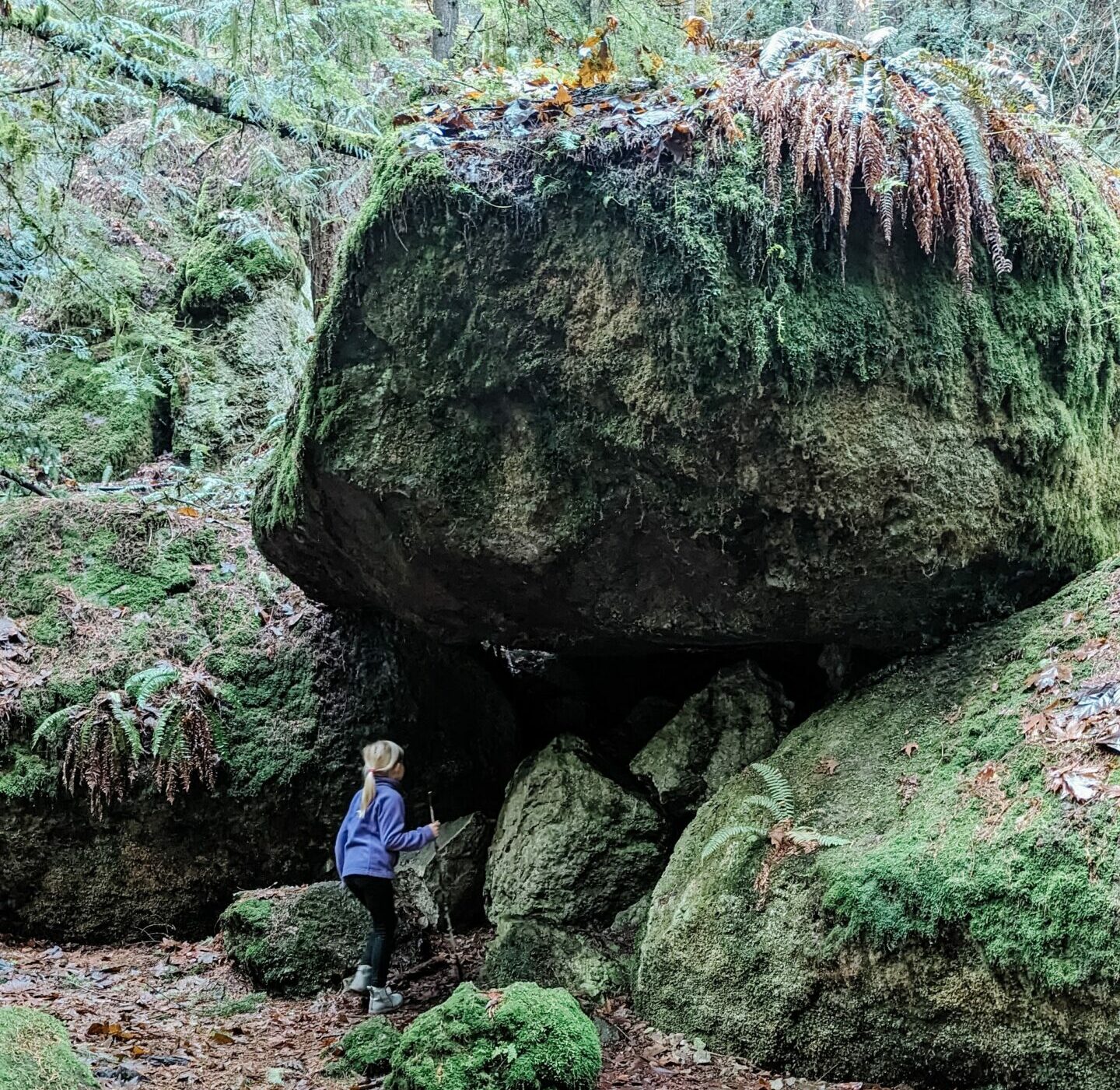 Greeter Rock Cougar Mountain