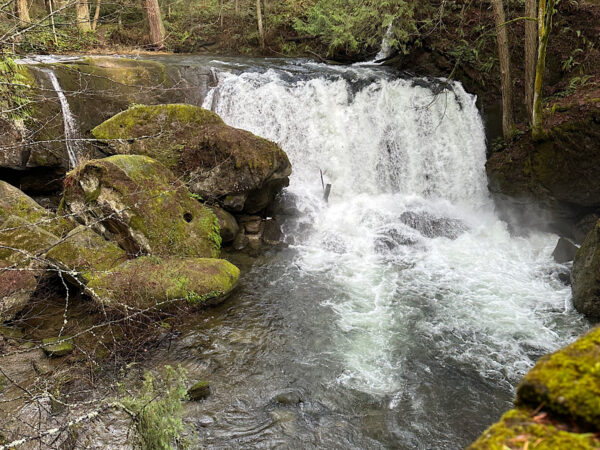 Exploring Bellingham’s Fairhaven Historic District is easy with kids — walkable streets, cute shops, and stroller-friendly sidewalks.