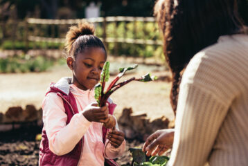 snag a seattle p-patch