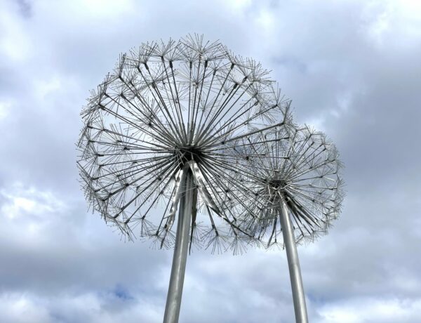 Seattle Children's PlayGarden