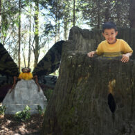 Take a photo with a bug sculpture at Woodland Park Zoo