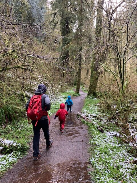 Despite the wet weather our family bundled up for the rain and headed out on hikes to explore the forest, creeks and waterfalls.