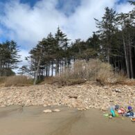 Plan on bringing sand toys and small plastic trucks and the kids with spend hours playing on the beach.